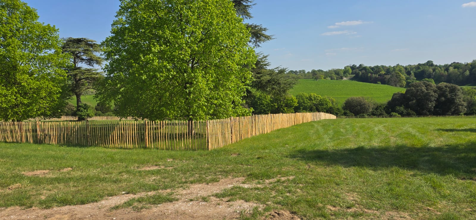 Chestnut paling fencing - rural agricultural boundary fencing contractors UK